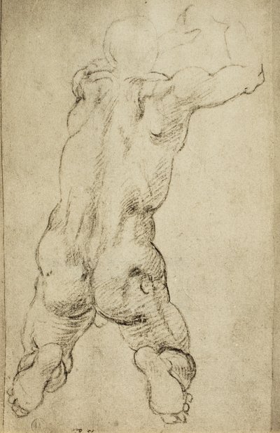 Study of a virile figure by Michelangelo Buonarroti